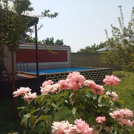 Villa Vilish 가발라 외부 사진